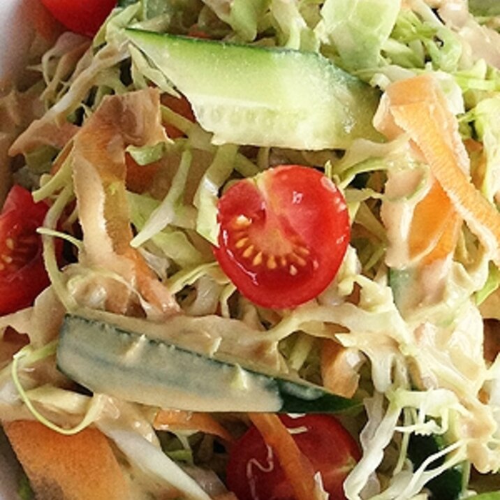季節のフレッシュサラダ ゴマドレッシングソース